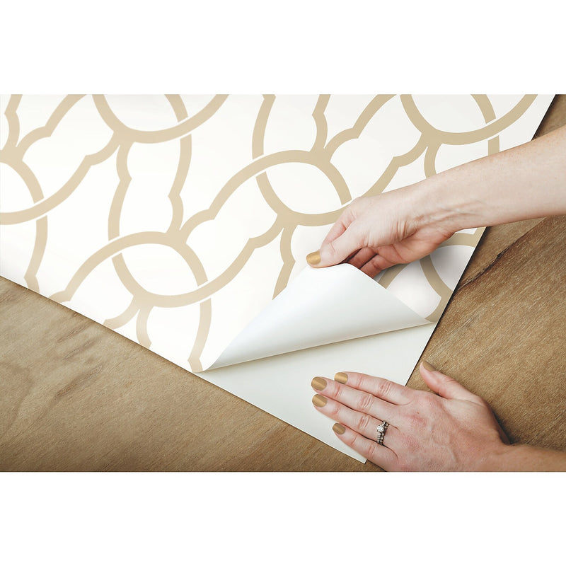 York Wallcoverings Trellis Peel and Stick Wallpaper (RMK9121WP)