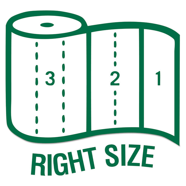 100% Recycled Paper Kitchen Towel Rolls, 2-Ply, 11 x 5.4, 156 Sheets/Roll, 24 Rolls/Carton