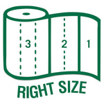 100% Recycled Paper Kitchen Towel Rolls, 2-Ply, 11 x 5.4, 140 Sheets/Roll, 2 Rolls/Pack, 12 Packs/Carton