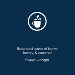 Alterra Donut Shop Blend Coffee Flavia Freshpacks, Medium Roast, 100/Carton (MDRA200)