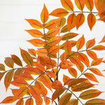 Nearly Natural 5' Autumn Minimalist Sumac Artificial Fall Tree (T4822)