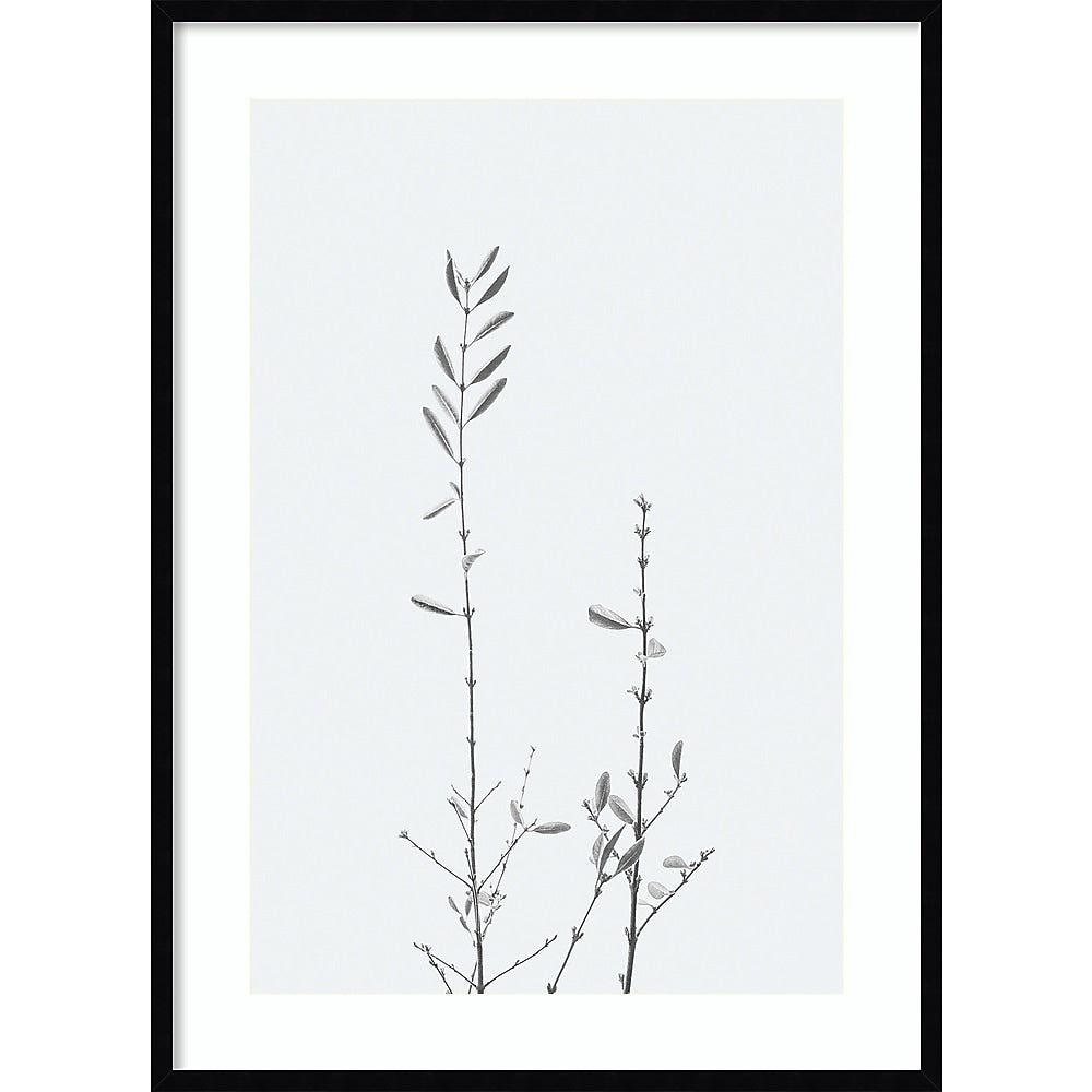 Amanti Art Retro Tennessee Botanical Print No 2 by Stephanie Klatt Wood Framed Wall Art Print, 30" x 41" (A42678254856)