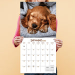 2026 TF Publishing Dog Dreams 12" x 12" Monthly Wall Calendar (26-1010)