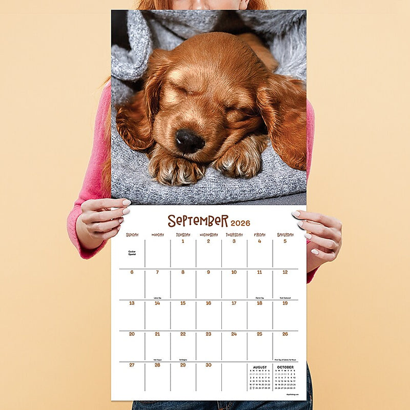 2026 TF Publishing Dog Dreams 12" x 12" Monthly Wall Calendar (26-1010)