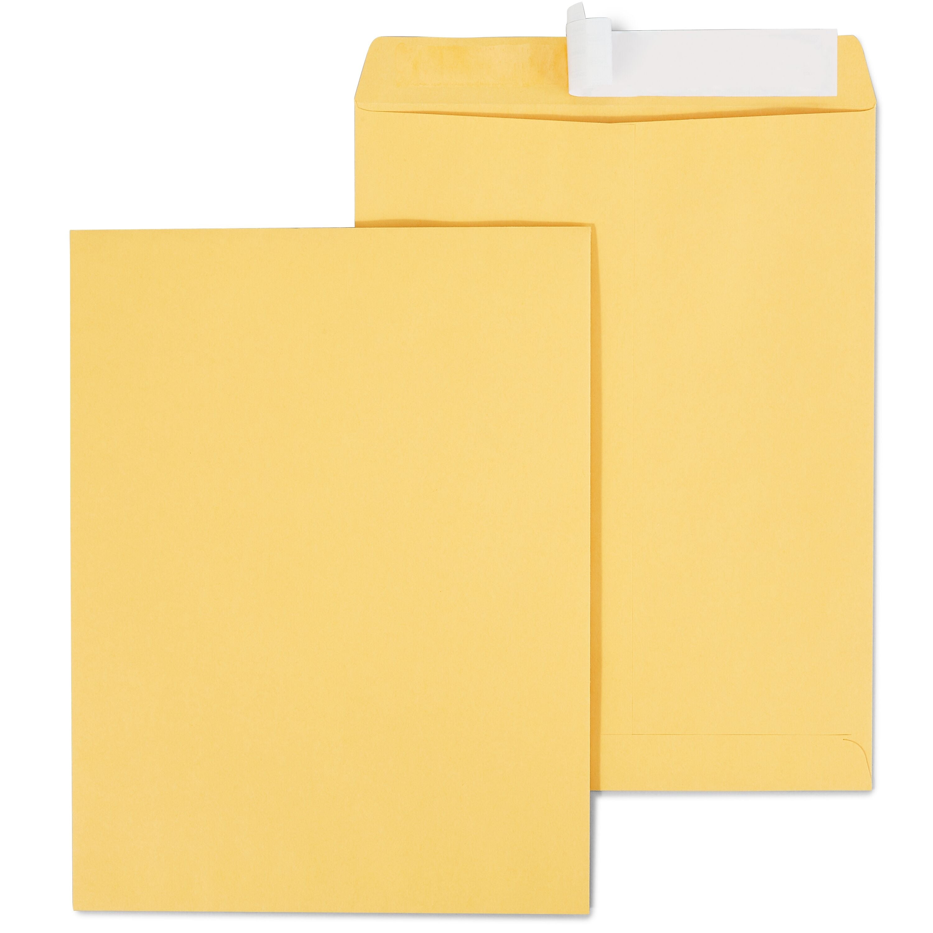 Staples EasyClose Kraft Catalog Envelopes, 10"L x 13"H, Brown, 100/Box (381969/19023)