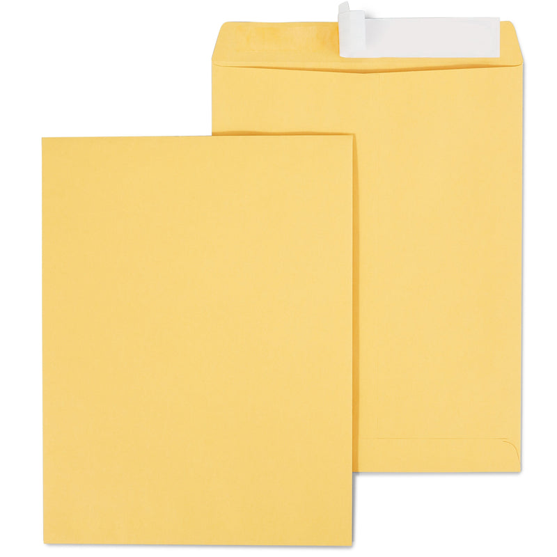Staples EasyClose Kraft Catalog Envelopes, 10"L x 13"H, Brown, 100/Box (381969/19023)