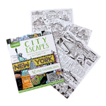 Crayola City Escapes Adult Coloring Book, 40 Pages, 2/Bundle (BIN040307-2)