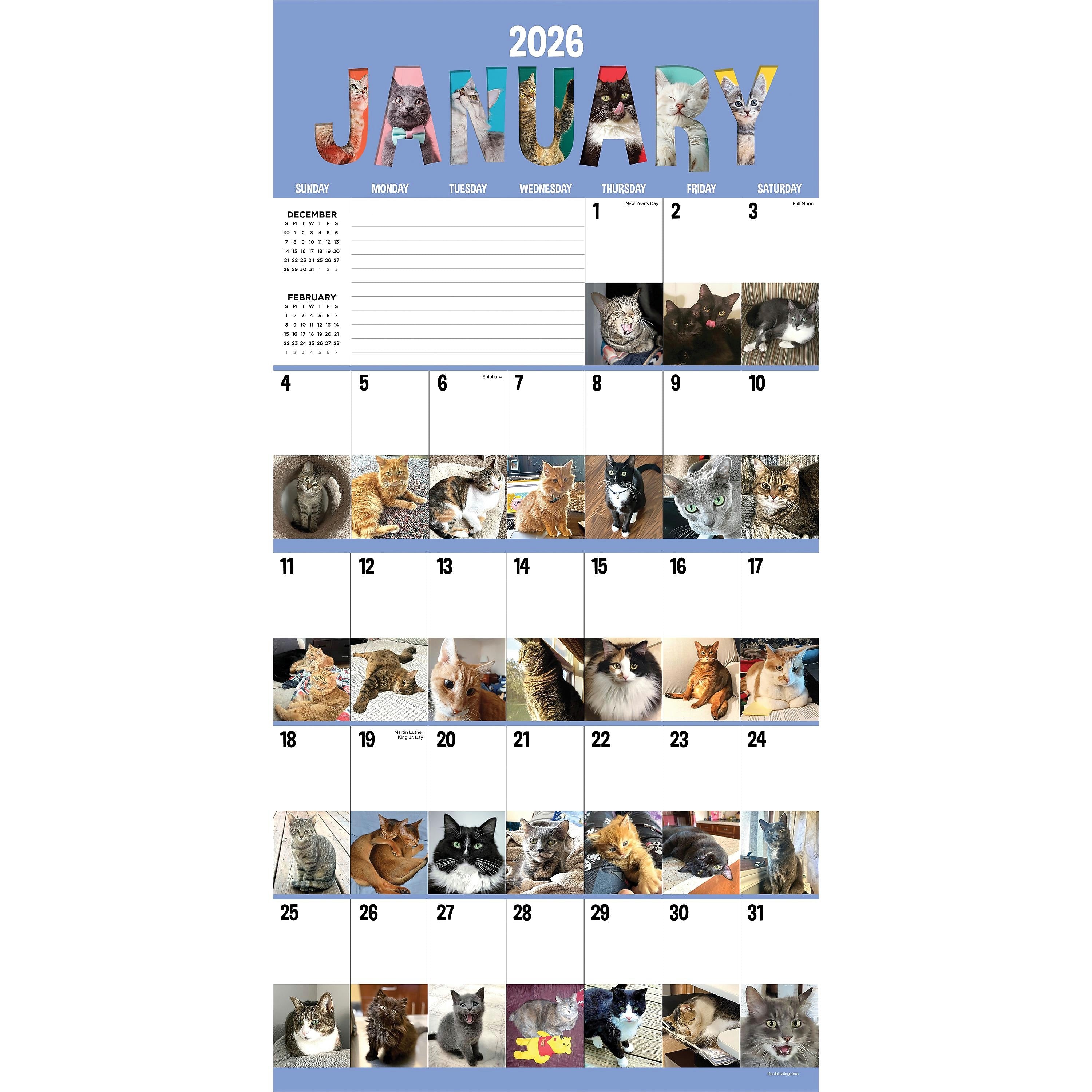 2026 TF Publishing Cat-A-Day 12" x 12" Monthly Wall Calendar, Multi (26-1002)