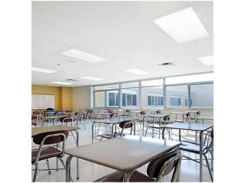 Armstrong FINE FISSURED Square Lay-In Edge Ceiling Tile, 24" x 48", White, 12/Carton (BP1729A)