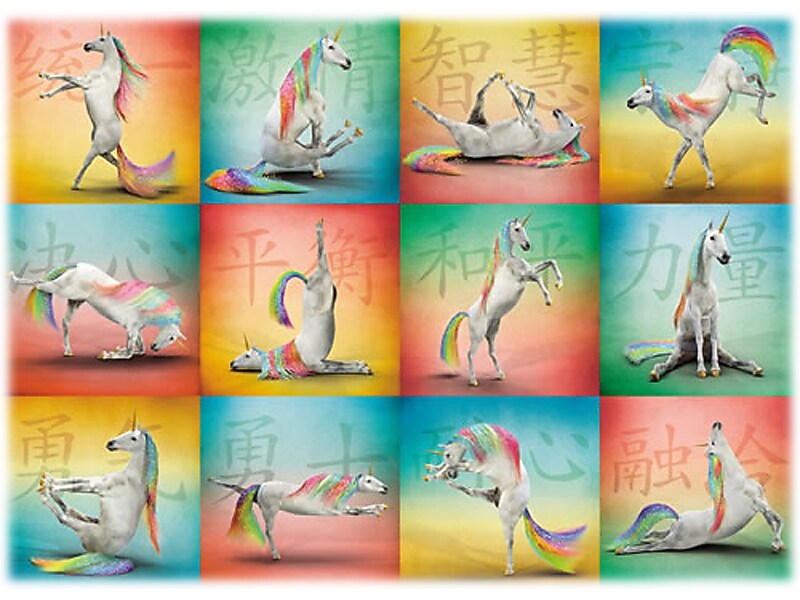 Willow Creek Unicorn Yoga 1000-Piece Jigsaw Puzzle (48352)