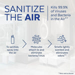 Lysol Air Sanitizer Spray, Sunkissed Petals Scent, 10 oz. (19200-56148)