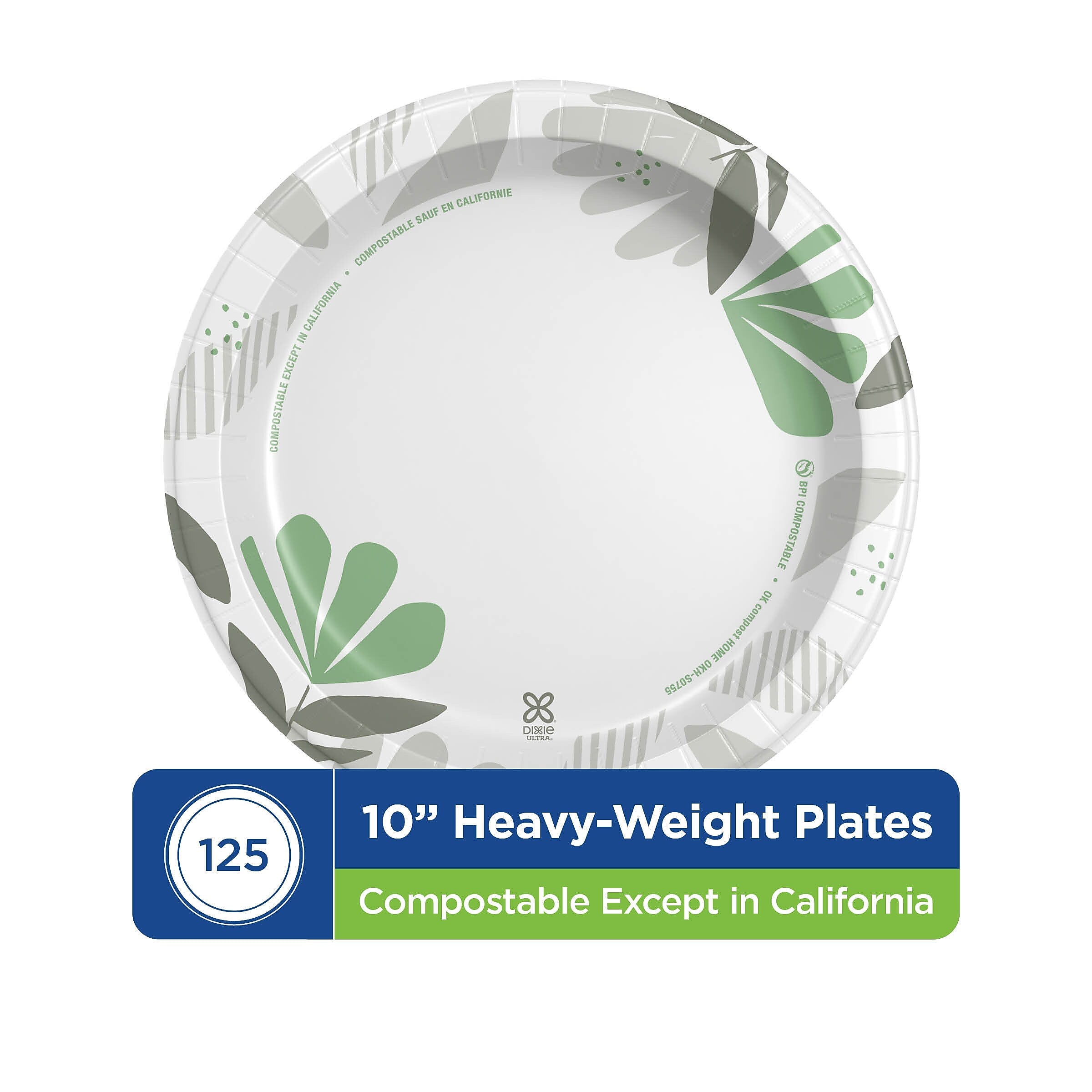 Dixie Ultra Pathways 10" Paper Plates, Multicolored, 125 Plates/Pack (SXP10PATH)
