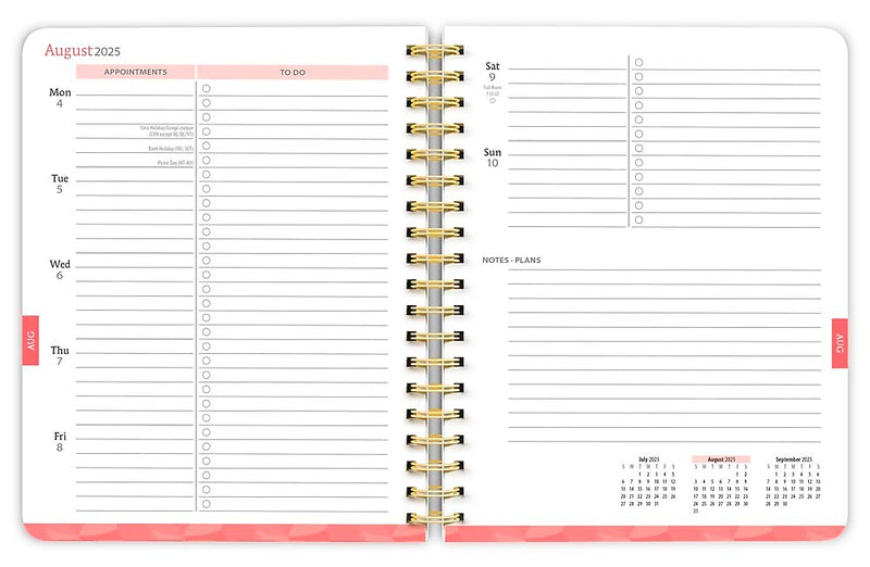 2025-2026 Plato Bonnie Marcus 6" x 7.75" Academic Year Weekly Planner, Multicolored (9798330700080)