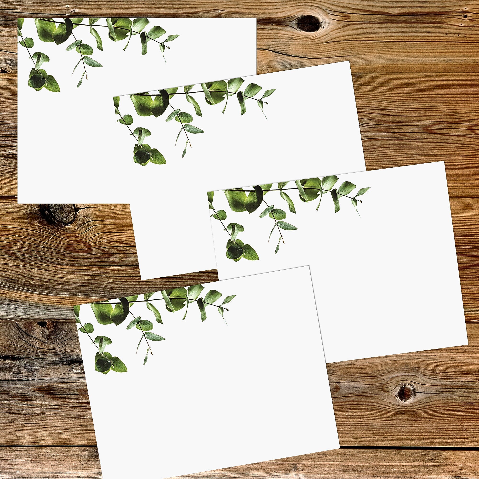 Great Paper Elegant Eucalyptus Notecards, Multicolored, 40/Pack (2025001)
