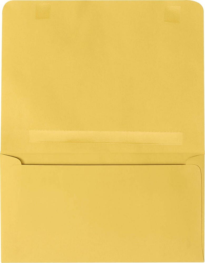 JAM Paper #6 Booklet Envelopes, 4 1/4" x 6 1/2", Goldenrod, 50/Pack (R3871-50)