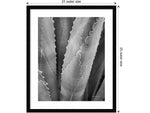 Amanti Art Abstract Agave I, Paper, 21" x 25" (A42675516734)