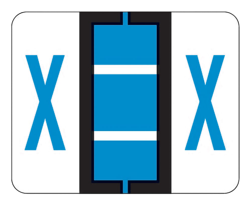 Medical Arts Press® TAB® Products Compatible Alpha Sheet Style Labels; Letter X