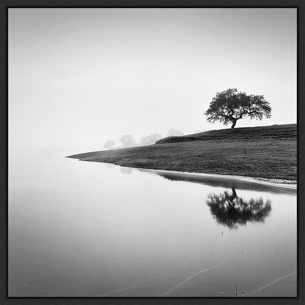 Amanti Art Tree in the Lake by Alexandre Manuel Framed Canvas Wall Art Print, 30" x 30" (A42678027394)