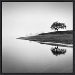 Amanti Art Tree in the Lake by Alexandre Manuel Framed Canvas Wall Art Print, 30" x 30" (A42678027394)