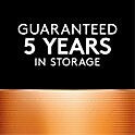 Duracell 76A Alkaline Battery, 4/Pack (PX76A675-4PK)