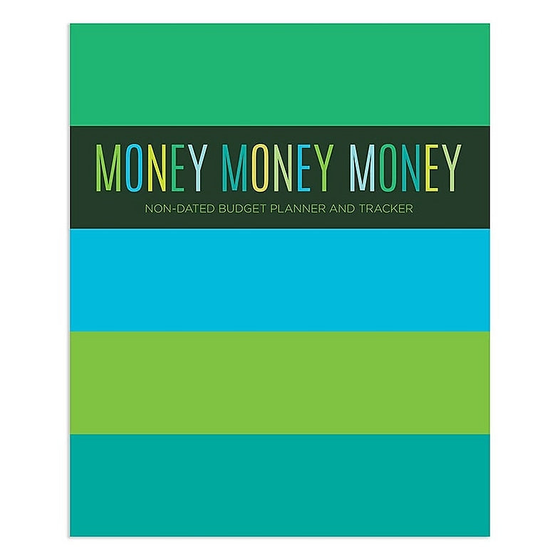 TF Publishing Money Planner 9" x 11" Undated Planner, Paperboard Cover, Multicolored (99-4725)