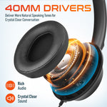 Delton 42Y Noise-Canceling Stereo Over-the-Ear Headset, USB Type-A (DWH42YAC)