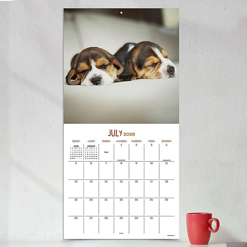 2026 TF Publishing Dog Dreams 12" x 12" Monthly Wall Calendar (26-1010)