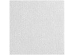 Armstrong CALLA Lay-In Square Edge Ceiling Tile, 24" x 60", White, 8/Carton (BP2857)