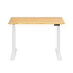 FlexiSpot E7COMMERCIAL 48''W Electric Height Adjustable Standing Desk, Bamboo/White (E7WCOM4824-LBZB)
