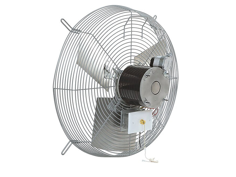 TPI CE-D 20" Industrial Wall Fan, 2-Speed, Silver (08689802)