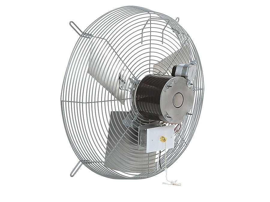 TPI CE-D 20" Industrial Wall Fan, 2-Speed, Silver (08689802)