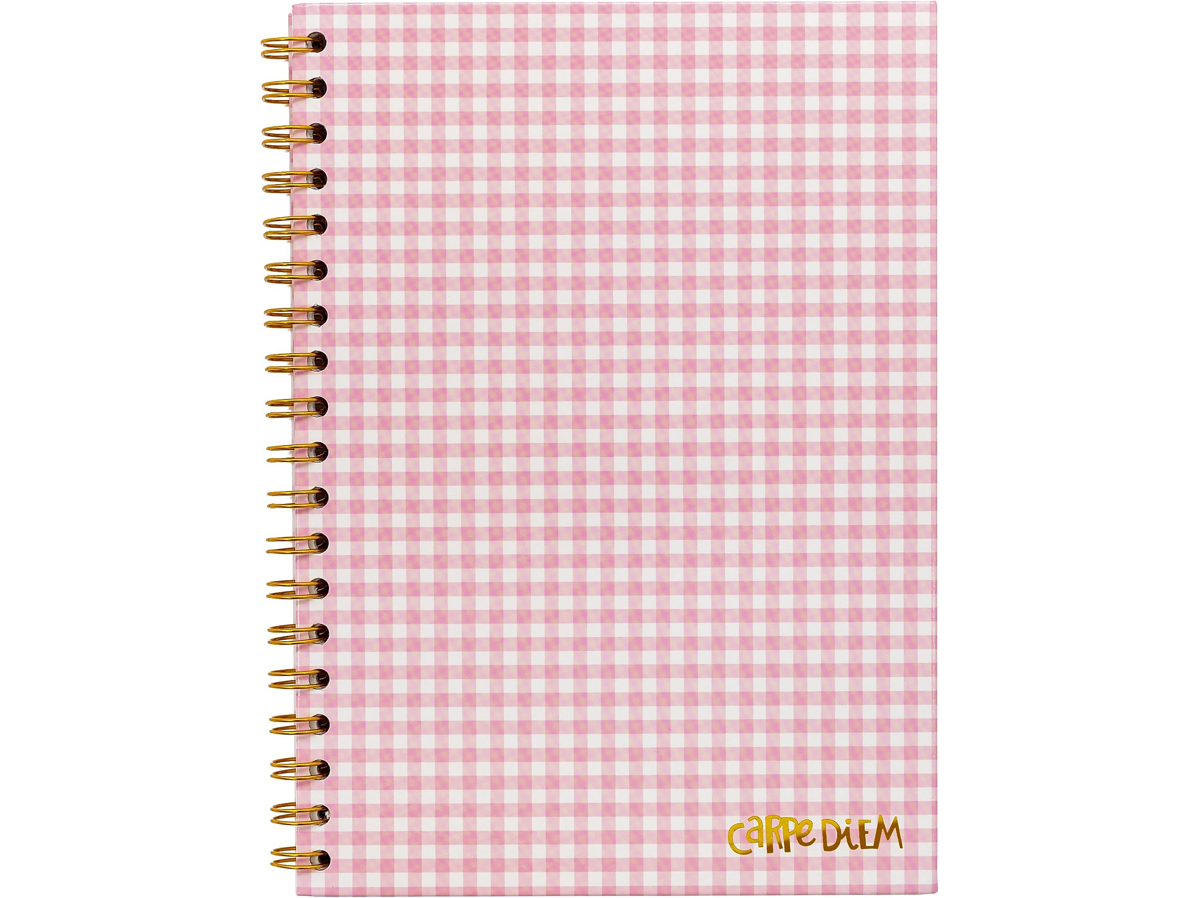 Carpe Diem Ballerina Pink Check 1-Subject Notebook, 7.5" x 9.75", Wide-Ruled, 80 Sheets, Pink/White (9377-CD)
