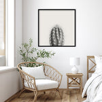 Amanti Art Haze Cactus Succulent Tall by The Creative Bunch Studio Wood Framed Wall Art Print, 33" x 33" (A42675345771)