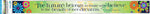 Barker Creek Double-Sided Border, 35" x 3", Italy Fiori Bellissimi, 12/Pack (LL959)