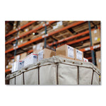 LW Extra-Large Shipping Labels, 4" x 6", White, 220 Labels/Roll, 2 Rolls/Pack