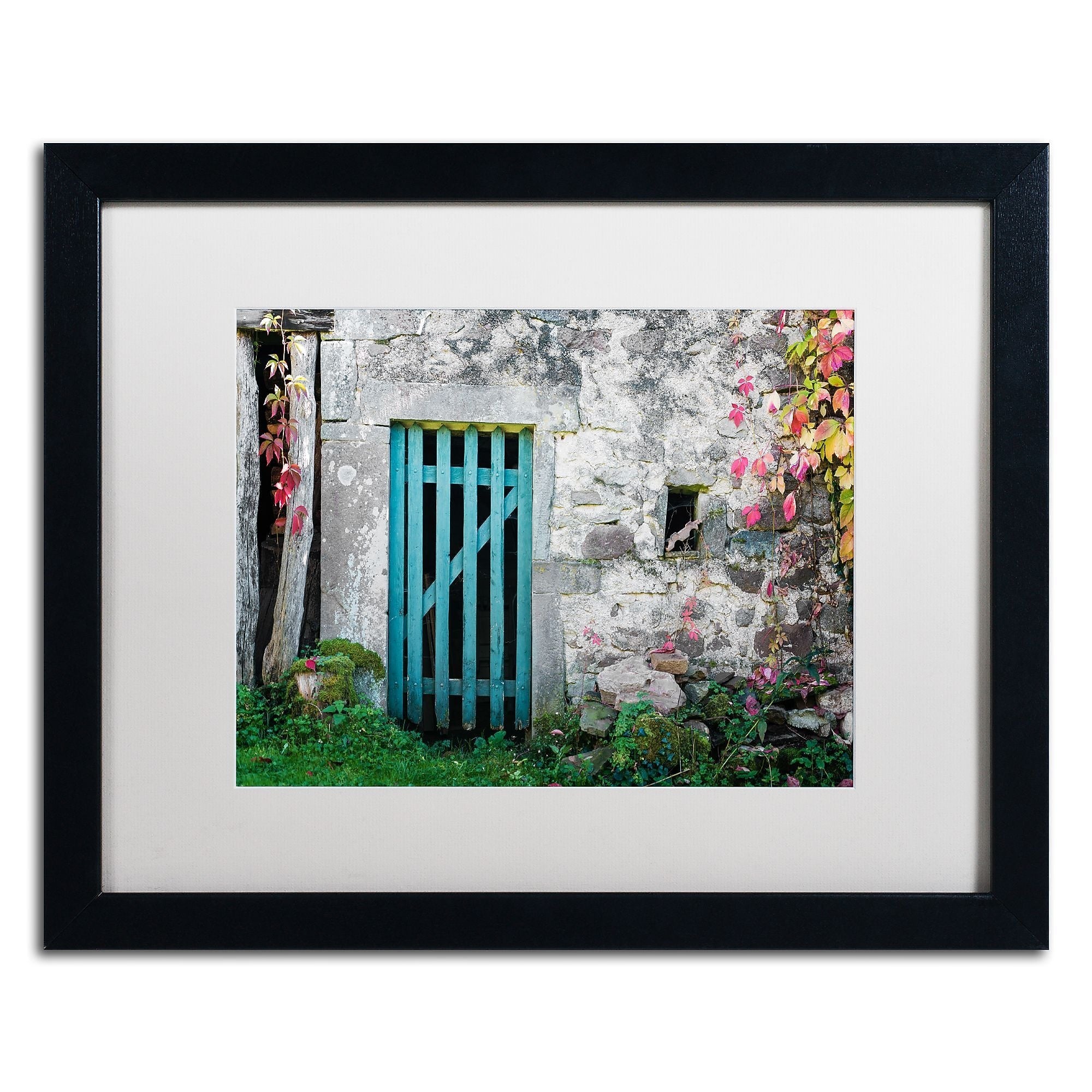 Trademark Fine Art ''The Old Wooden Door'' by Philippe Sainte-Laudy 16" x 20" White Matted Black Frame (PSL0455-B1620MF)