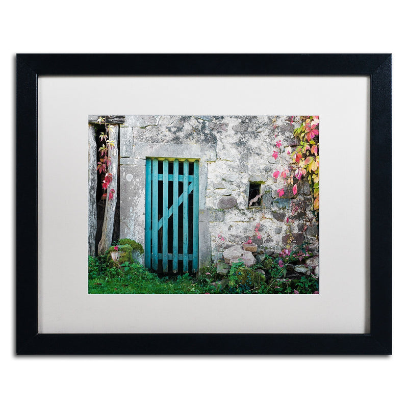 Trademark Fine Art ''The Old Wooden Door'' by Philippe Sainte-Laudy 16" x 20" White Matted Black Frame (PSL0455-B1620MF)