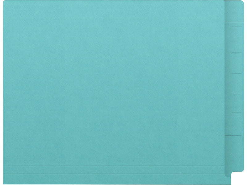Medical Arts Press Kardex Match Reinforced End Tab File Folder, Straight Cut, Letter Size, Light Blue, 100/Box (S-09482-LBL)
