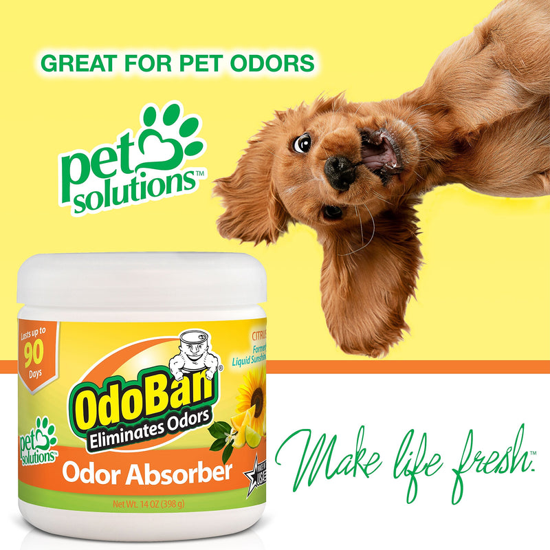 OdoBan Deodorizer Solid, Citrus Scent, 14 oz. (9735K61-14Z12D)