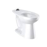 Sloan Vitreous China Floor-Mounted ADA Water Closet (2102029)