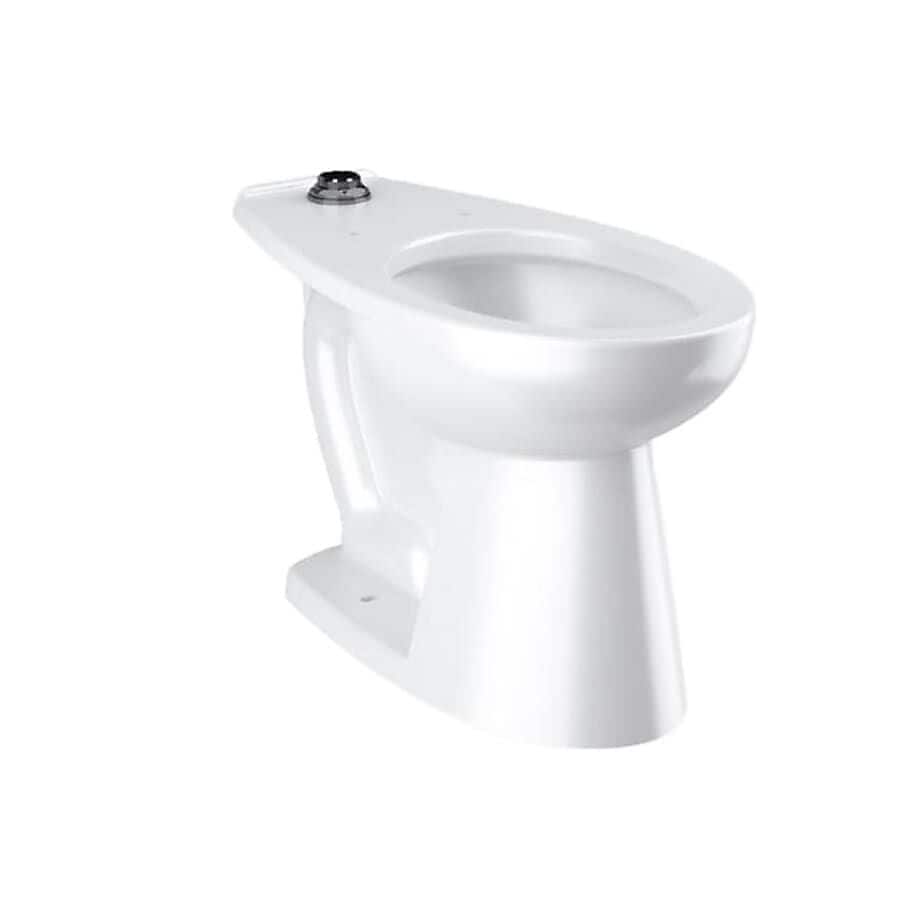Sloan Vitreous China Floor-Mounted ADA Water Closet (2102029)