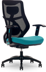 Beautyrest Duo-EX Ergonomic Mesh Swivel Computer Chair, Teal (60051-TEL)
