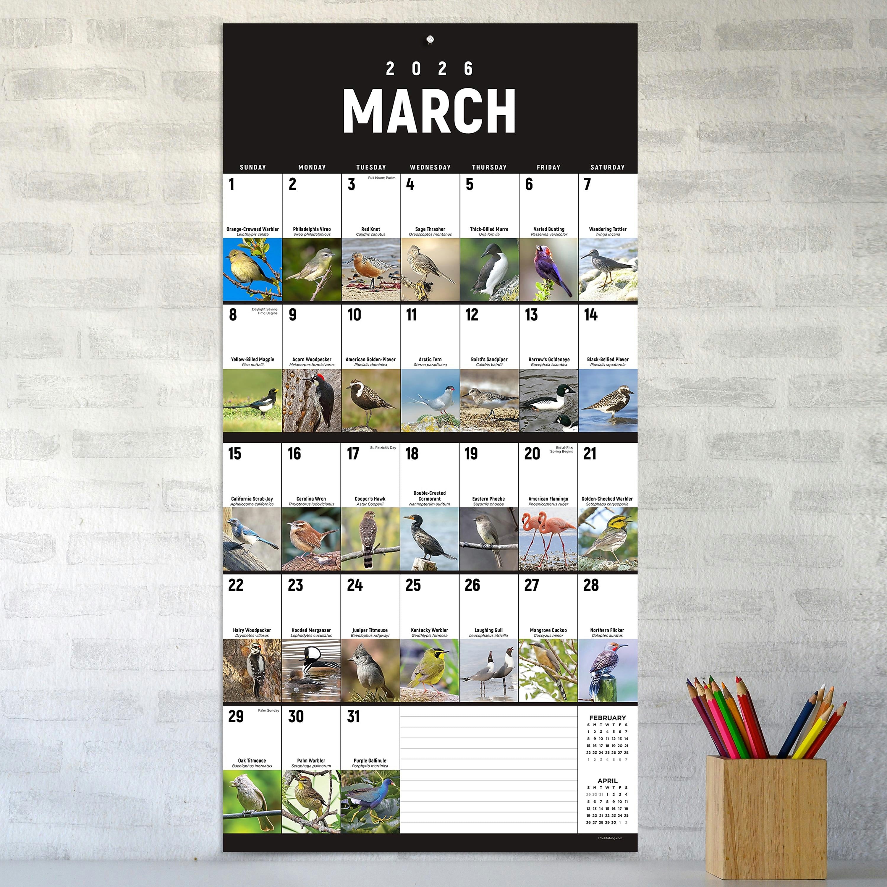 2026 TF Publishing 12" x 17" TF Publishing 12" x 12" Birds: Backyard and Beyond Wall Calendar 26-1121