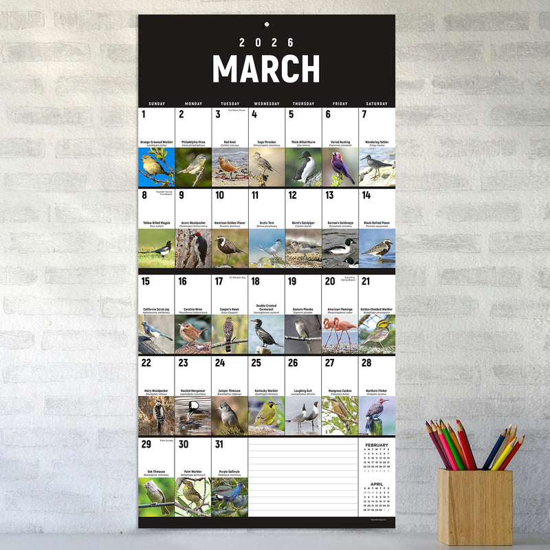2026 TF Publishing 12" x 17" TF Publishing 12" x 12" Birds: Backyard and Beyond Wall Calendar 26-1121