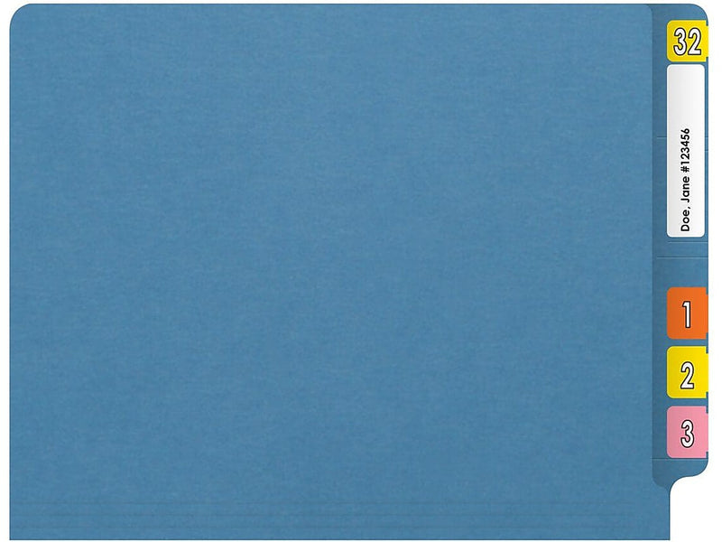 Medical Arts Press Reinforced End Tab File Folder, Straight Cut, Letter-Size, Blue, 250/Carton (S-01502-BLU-B)