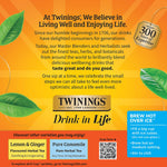 Twinings Pure Rooibos Herbal Tea, Keurig® K-Cup® Pods, 24/Box (TNA85791)
