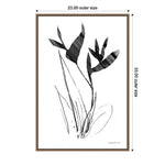 Amanti Art Paradise Botanicals I by Danhui Nai Framed Canvas Wall Art Print, 23" x 33" (A42678302435)