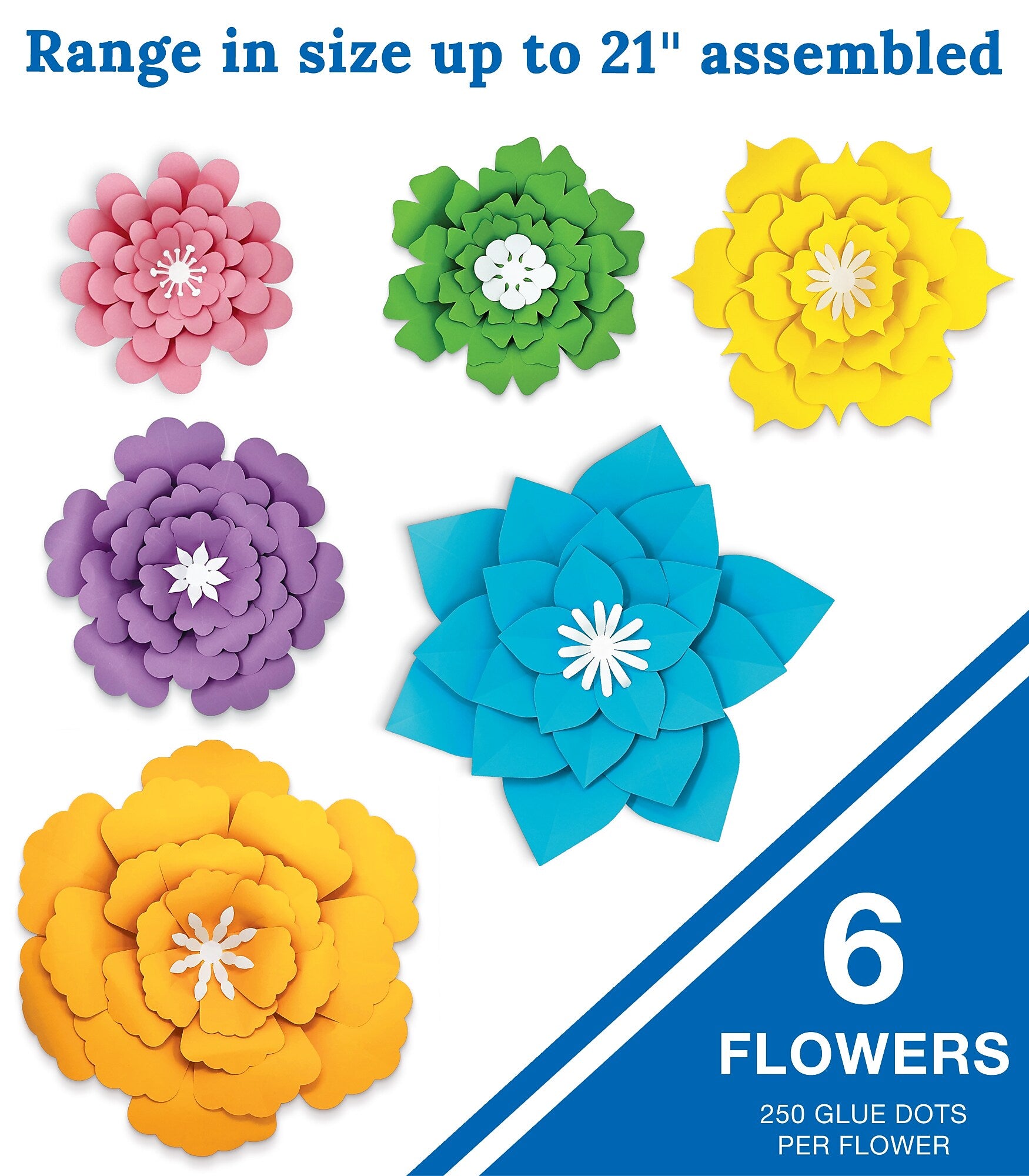 Carson Dellosa Creatively Inspired Paper Flower 3D Decorations, 6/Pack (107010)