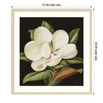 Amanti Art Magnolia Grandiflora 2003 by Jenny Barron Wood Framed Wall Art Print, 31" x 33" (A42675530231)