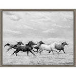 Amanti Art Horse Run I by PHBurchett Framed Canvas Wall Art Print, 24" x 18" (A42675322595)